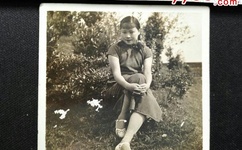 狼群在线观看免费高清2019